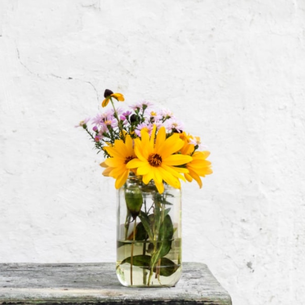 Meet your Posher, Jess